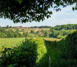Blick durch den Weiler Wasserfall in Süd-Limburg