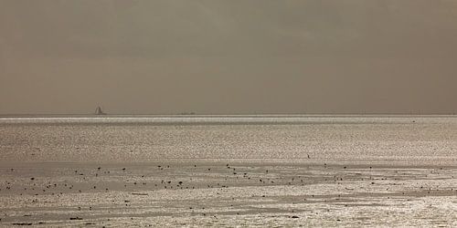 Een "zilveren" Waddenzee