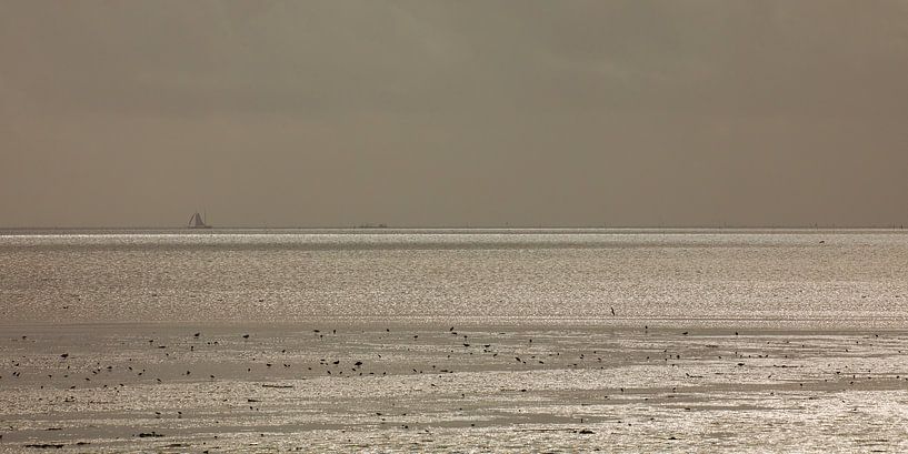 A &quot;silver&quot; Wadden Sea by Annie Keizer
