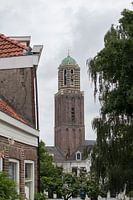 zwolsche  peperbus 