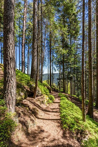 Sentier de randonnée à Bad Wildbad, en Forêt-Noire sur Werner Dieterich