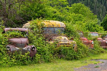 Verroeste auto's ergens in Idaho, Verenigde Staten van Adelheid Smitt