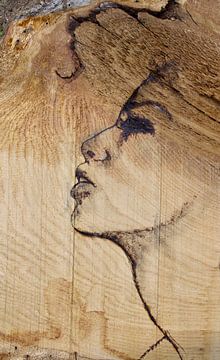 'Wood Awaken' van Kim Rijntjes