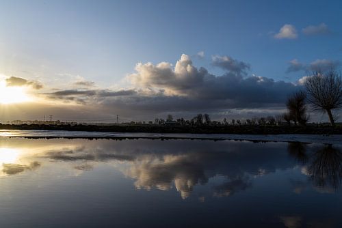 Reflexionen über das Wasser von Willian Goedhart