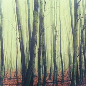 beim waldgeist van micha grünberg