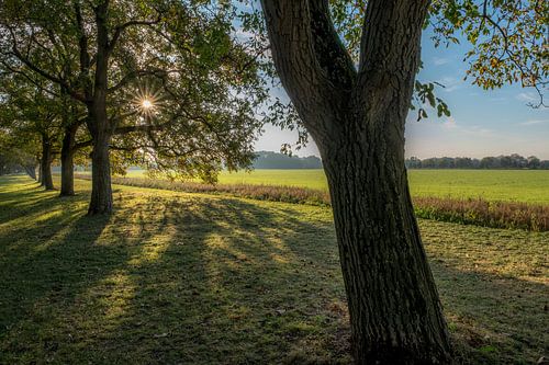 Zonnige herfst met bomen