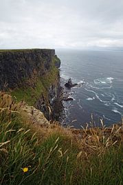 The Cliffs of Moher are the most famous cliffs in Ireland.