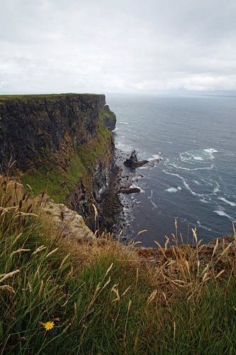 The Cliffs of Moher are the most famous cliffs in Ireland.