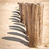 groynes close-up with shade by Michel Seelen