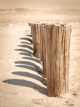 Wellenbrecher in Nahaufnahme mit Schatten auf sonnigem Sand von Michel Seelen