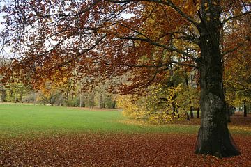 Le Luitpoldpark avec ses feuillages colorés en automne à Bad Kissingen sur Martin Flechsig