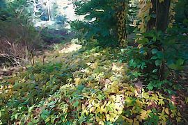 The forest that muffles your footsteps, and devours your shadow. by Arie Visser