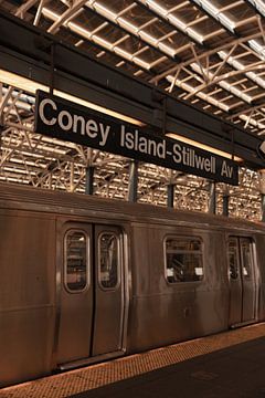 Coney Island subway station van Jalisa Oudenaarde