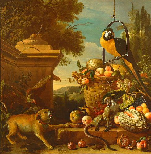 Ara und ein Affe, Melchior d'Hondecoeter