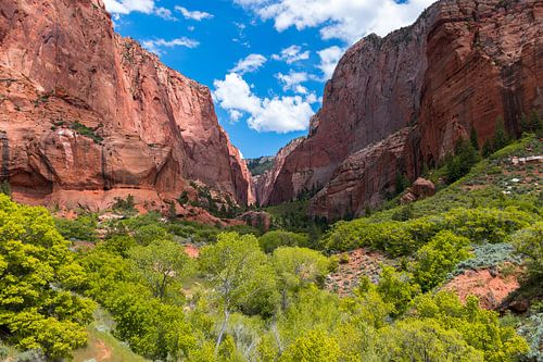 La vue inconnue dans les rochers du parc national de Zion