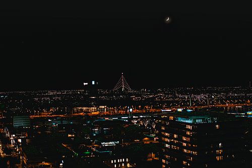 The largest coloured Christmas tree in the world