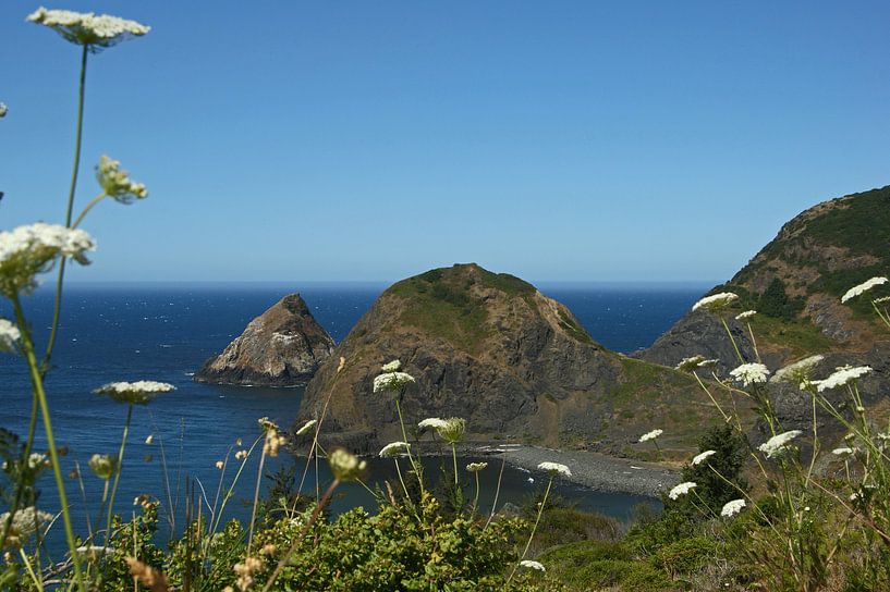 Pazifische Westküste USA von Jeroen van Deel