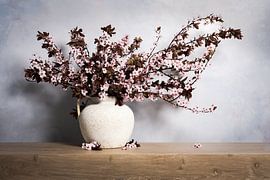 La danse du prunus