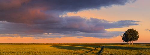 Soirée d'été dans le polder de Johannes Kerkhoven
