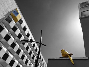 Yellow Bird van Raoul Suermondt