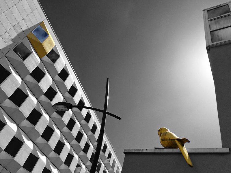 Yellow Bird par Raoul Suermondt