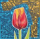 Tulip by Jeroen Quirijns thumbnail