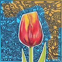 Tulp