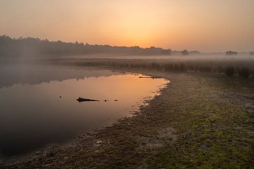 Magnifique lever de soleil Allardsoog