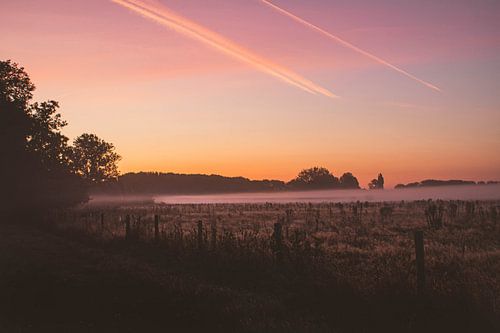 Sonnenaufgang im Naturschutzgebiet Bourgoyen-Ossemeersen Gent