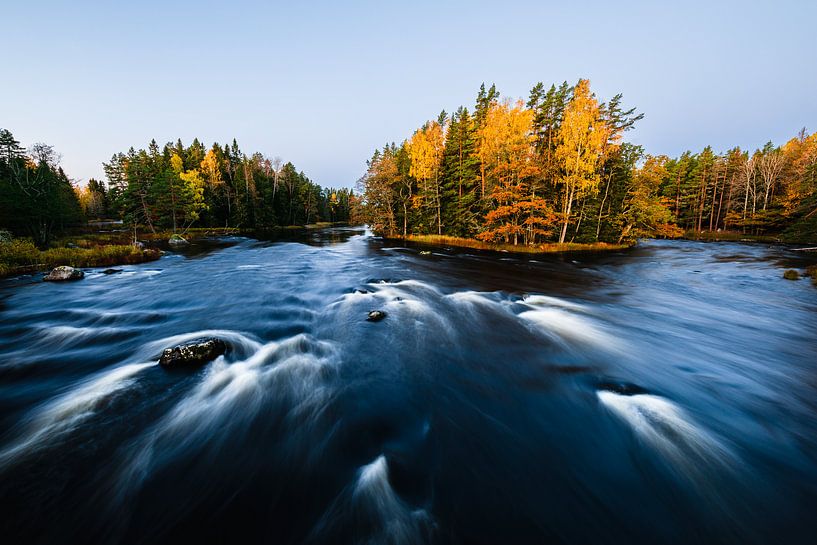Flowing river with discolored trees by Martijn Smeets