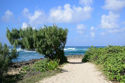 Op weg naar de Turtle Bay Pillbox