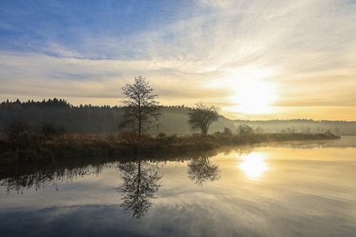 Oeverlandschap van Schwackenreuter gezien op een ochtend in november - Landkreis Konstanz