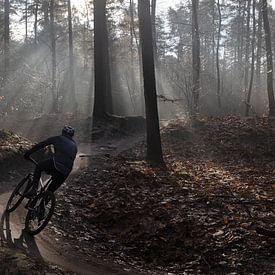 Mountainbiker in de vroege ochtend van Andrew van der Beek