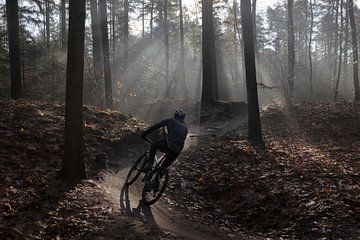 Mountainbiker in de vroege ochtend van Andrew van der Beek