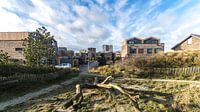 Almere Duin