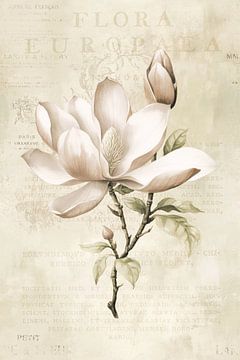Magnolia Spring Romance Pastel Beige by Andrea Haase