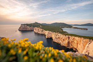 Sonnenuntergang an den Klippen Sardiniens am Parco Naturale Di Porto Conte