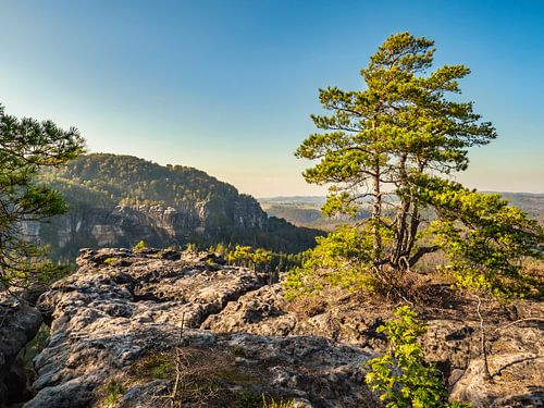 Großes Bärenhorn, Saksisch Zwitserland - Kleine Winterberg