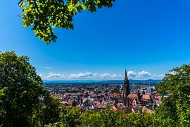 Freiburg im Breisgau Stadtansicht im Sommer unter grünem Baum von adventure-photos