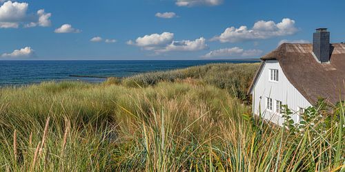 House in the dunes in Ahrenshoop