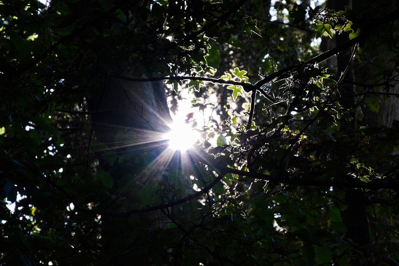 Zonnestralen van Fendo Pater