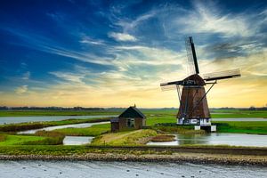 Mühle Nord auf Texel