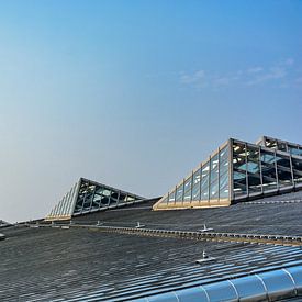 Dak van Rotterdam Centraal van Sem Lemmers