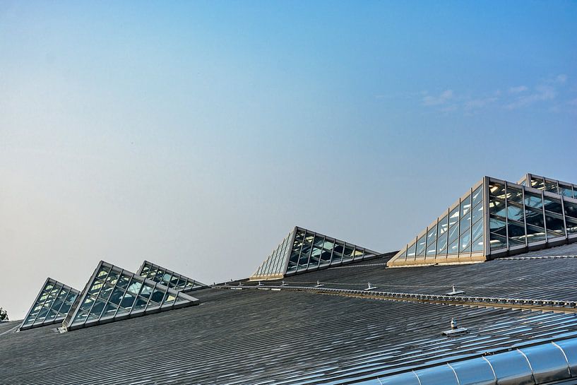 Dak van Rotterdam Centraal by Sem Lemmers