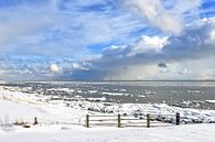 Ameland im Wintergefieder von Rinnie Wijnstra Miniaturansicht