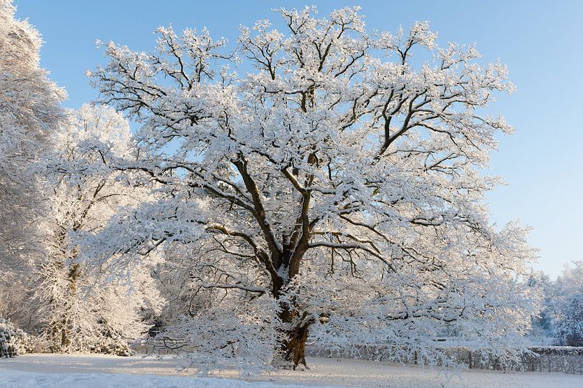 Winterse sferen in Nederland von Ron van Elst