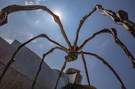 Araignée de Bilbao pour le musée Guggenheim de Bilbao par Easycopters Aperçu