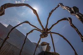 Spin van Bilbao voor het Guggenheim museum in Bilbao
