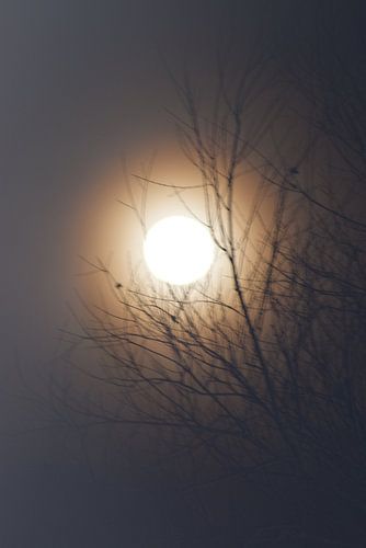 Einde van een prachtige dag