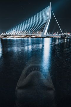 Jaws haai valt de blauwe Erasmusbrug aan in Rotterdam van vedar cvetanovic